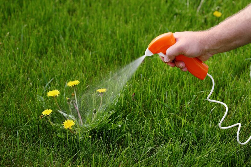 Lawn Weed Treatment in Ventura County, CA