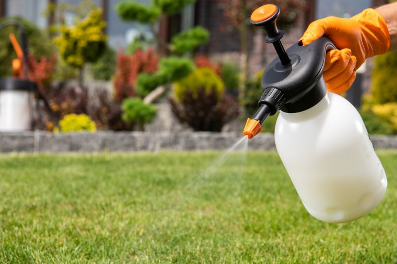 Lawn Fertilizing Service in Honolulu, HI