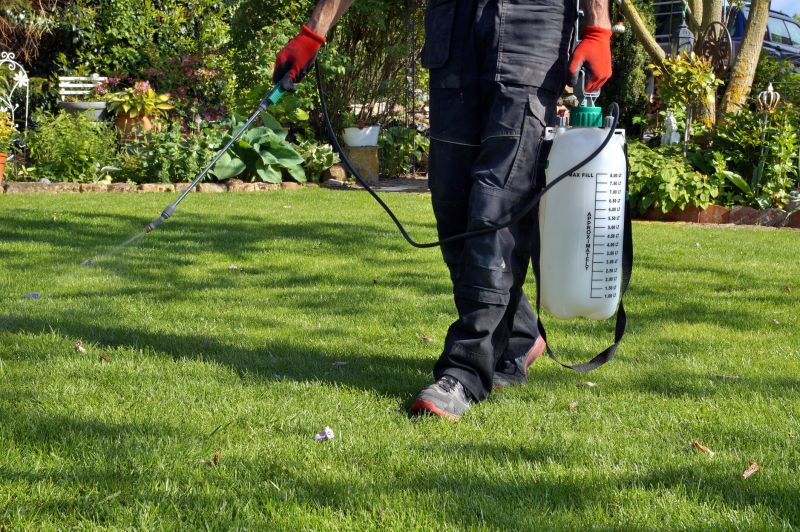 Lawn Herbicide Treatment in Honolulu, HI