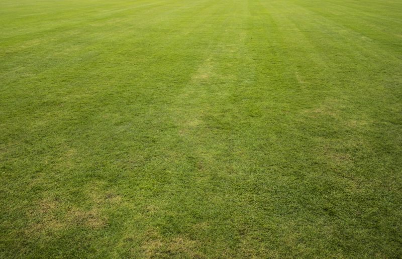 Sod Landscaping in Honolulu, HI