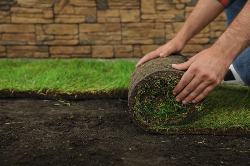 Sod Landscaping in Aiken, SC
