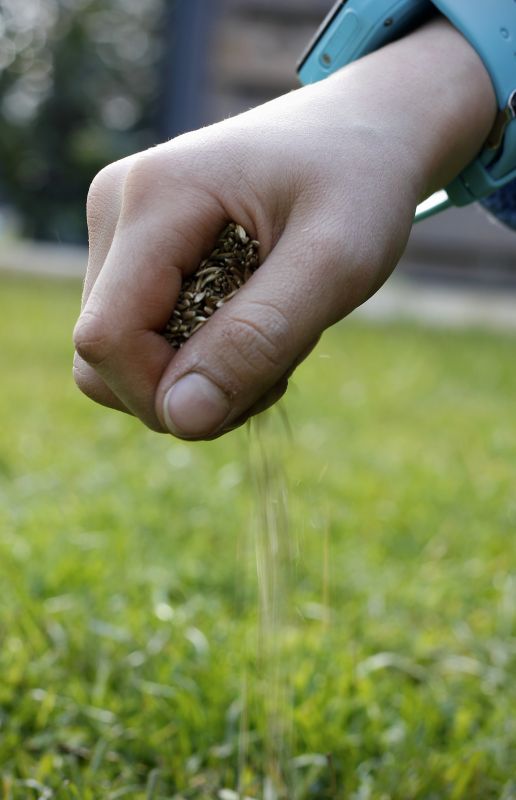 Yard Overseeding in Ventura County, CA
