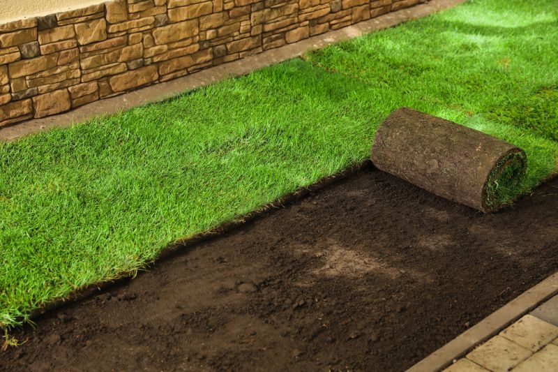 Yard Sod Installation in Aiken, SC